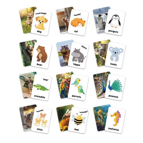 Bear Tale 54PCS Animals Flash Cards for Toddlers 1 2 3 4 5 6 Years Old, Double Sided Cartoon Cards About Land Marine Sky Animals, Educational Learning Toy Gift for Preschool Toddler Flashcards