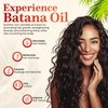 Clariglow 100% Pure Batana Oil for Hair Growth with Rosemary Serum | Batana Natural Hair Growth Oil Serum (2 fl oz) Aceite de Batana