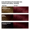 L'Oreal Paris Feria Multi-Faceted Shimmering Permanent Hair Color, R48 Intense Deep Auburn, Hair Dye Kit, Pack of 2