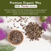Organic Way Whole Milk Thistle Seeds (Silybum marianum) - European Wild-Harvest, Organic & Kosher Certified, Vegan, Non GMO & Gluten Free, USDA Certified, Origin - Albania (4 Oz)