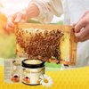 Bee Venom Cream, New Bee Venom Skin Treatment Cream, Professional Natural Bee Venom Repair Cream Gel, Bee Venom Skin Cream for All Parts of The Body (2 Pack)