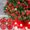 DOERDO 6pcs Plastic Bobbing Apples Filled Bobbing Apple Containers for Creative Party Favors and Festive Decorations, 3.9"x3.5"