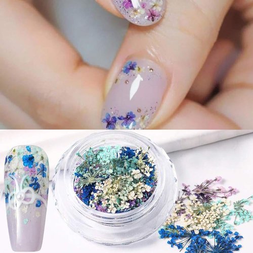 Dried Flowers for Nails 3D Nail Dried Flowers Sticker 1 Box Natural Real Dry Flower Nail Art Stickers Supplies Colored Mini Dried Flowers for Nails Art Resin DIY Craft Summer Nail Art Decorations