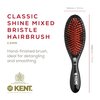 Kent CSMM Classic Shine Medium Oval Cushion Straightening Brush - Natural Black Boar Bristle Hair Brush with Nylon Quills - Shine Hair Brush and Scalp Scrubber for Shoulder to Mid Length Hair