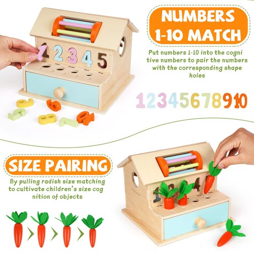 Wooden Montessori Toys for Babies,Object Permanence Box,Coin Box,Ball Drop Toy, Color & Shape Sorter Toys, Spinning Drum,Carrot Harvest,Learning Educational Toys Fine Motor Skills Gifts for Toddlers