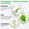 Rosemary Shampoo and Conditioner Set, Hair Growth Shampoo and Conditioner for Anti Hair Loss Nourishing Scalp Reduce Frizz, Rosemary Mint Shampoo and Conditioner for Women Men, Sulfate & Paraben Free