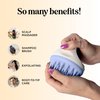 Hair Shampoo Brush and Scalp Exfoliator - Soft Silicone Scalp Massager Hair Growth Stimulator for Wet or Dry Hair - In Shower Scalp Scrubber for Dandruff Removal Made with Recycled Wheat Straw - Blue