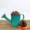 Better Crafts Metal Watering Can
