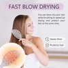 Daily Gard Detangling Brush, Dry and Wet Vented Detangler Hair Brush for Women and Men, Paddle Quick Drying Hairbrush for Wet/Dry/Curly/Thick/Long/Wavy/Damaged Hair, Beige