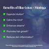 stellace Premium Blue Lotus Moringa Oil - 100% Pure & Natural, Therapeutic Grade Face/Body/Hair Oil for Relaxation & Advanced Skin Care - 60ml