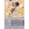 Value Pack - All Occasion -"Shoreline Greetings" - KJV Scripture Greeting Cards - (Box of 24)