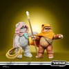 Star Wars The Vintage Collection Wicket W. Warrick & Kneesaa, Star Wars: Ewoks Collectible 3.75” Action Figures 2-Pack
