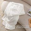 Bedsure White Fleece Throw Blanket for Couch - Super Soft Cozy Blankets for Women, Cute Small Blanket for Girls, 50x60 Inches