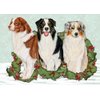 Australian Shepherd Christmas Cards : 10 Holiday Cards with White Envelopes - Adorable!