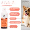 COAT DEFENSE Paw Licker Bundle | Dry Powder for Dogs & Sensitive Skin Dog Shampoo for Allergies and Itching | Smell & Itch Relief for Dogs | Itchy Skin Relief & Yeast Infection Treatment for Dogs