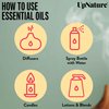 UpNature Shield Essential Oil - Huge 2oz - Oil for Household Cleaner Concentrate & Diffuser - 100% Pure Aromatherapy Oil