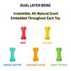Playology Dual Layer Bone Dog Toy Chicken Scent, Small