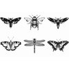 Dopetattoo 6 Sheets Temporary Tattoo Realistic Insects Death's-Head Moth Dragonfly Fake Tattoos Neck Arm Chest for Women Men Adults
