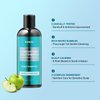 Kundal Pro Deep Cleansing & Oily Scalp [Apple Green Tea] Hair Shampoo - Sensitivity Care, Reduce Flakes, Relieves Scalp Shampoo 600ml (10.8 Fl Oz x 2ea)
