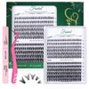 Fenshine Cluster Eyelash Extensions 240pcs 20D/40D Cluster Eyelashes Mixed, Natural False Eyelashes Cluster Soft Individual Lashes Clusters