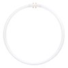 Sunlite FC40T5/SP841 Fluorescent 40W T5 Circline Ceiling Lights, 4100K Cool White Light, 2GX13 Base