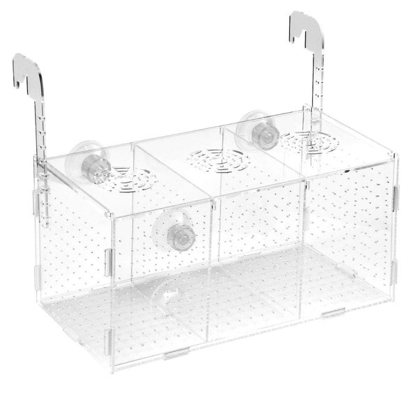 ATPWONZ Fish Breeding Box, Acrylic Fish Isolation Box Aquarium Hatchery Incubator with Suction Cups for Newborn Fry Shrimp Guppy Clownfish Aggressive Fish, 11.5" x 6" x 6"