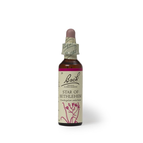 Bach Original Flower Remedy Star of Beth 20 ml