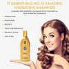 IT Essentials No. 12 Amazing Hydrating Shampoo Professional-Grade for All Hair Types Infused with Abyssinian Oil and Sunflower Oil to Repair Damaged Hair & Control Frizz - Strengthens Hair & Spilt Ends