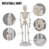 Ultrassist Mini Human Skeleton Model, Portable 20cm Skeleton Bone Model with Stretchable Jaw, Great Teaching Tool for Physiological Education and Human Skeletal System Study