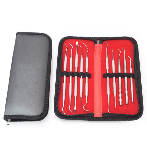 Motanar Professional Dental Tools Kit,10 PCS Teeth Cleaning Tools Set,Oral Care Kit with Tooth Pick, Tartar Scraper (Double Head and Single Head Picks Kit)