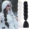 White Black Jumbo Braiding Hair Extensions 24 Inch Ombre Braiding Hair for Women Pre stretched High Temperature Synthetic Fiber Hair Twist Crochet Braids for Halloween Cosplay Party Makeup Carnival