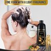 LAIKETE Black Hair Dye Shampoo 3 in 1 for Gray Hair Coverage, Instant Hair Color Shampoo for Men & Women, Herbal Ingredients Hair Color Shampoo in 10-15 Minutes (500mL,17.6 Fl Oz)