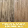 Aveeno Sunflower Oil Blend Conditioner, for Dry Damaged Hair, Dye, Paraben & Sulfate Surfactants Free, 12oz