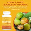 Paleovalley Essential C Complex - Vitamin C Supplement for Immune Support - 3 Pack, 450mg - From Organic Superfoods Unripe Acerola Cherry, Camu Camu, Amla Berry - No Synthetic Ascorbic Acid - USA Made