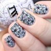 Whats Up Nails - B018 Fields of Flowers Stamping Plate for Nail Art Design