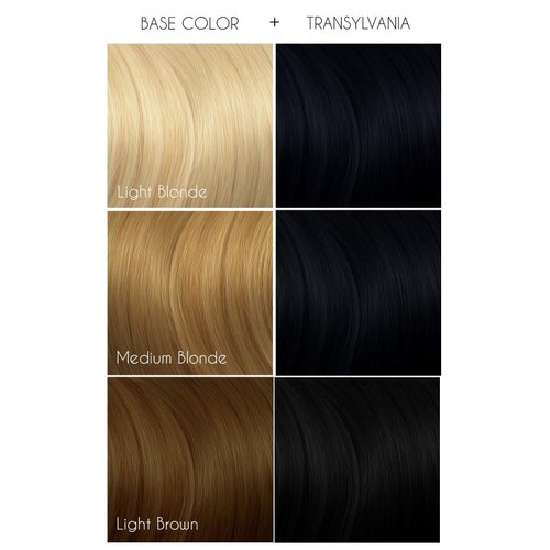 ARCTIC FOX Vegan and Cruelty-Free Semi-Permanent Hair Color Dye (4 Fl Oz, TRANSYLVANIA)