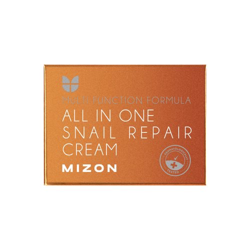 MIZON All in One Snail Repair Cream, Snail Mucin with 12 Natural Extracts, Centella Asiatica, Hyaluronic Acid, Recovery Cream, Korean Skincare, Wrinkle & Blemish Care (4.06 fl oz)