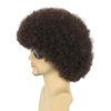 karlery Adult Men Women Afro 70s 80s Curly Dark Brown Wig Rocker Party Wig California Halloween Costume Wig