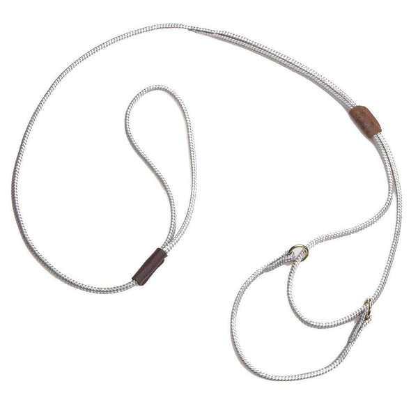 Mendota Pet Show Martingale Style Leash - Leash & Collar Combo, Made in The USA - Silver, 12 in x 1/8 in x 40 in