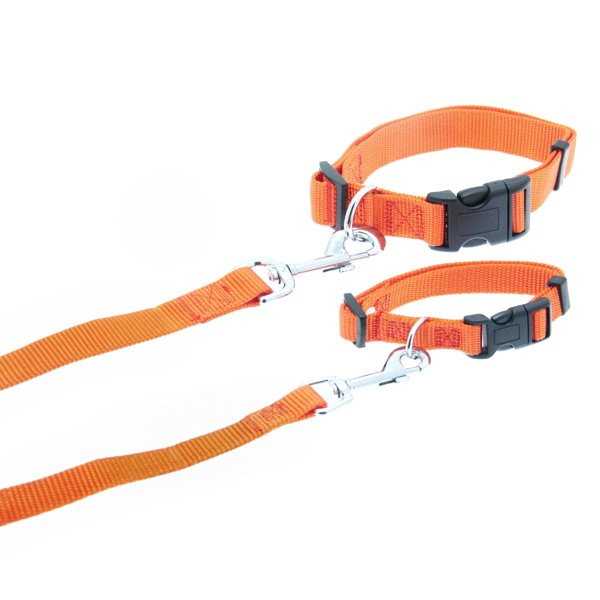 Barking Basics Dog Leash, 1" W, Orange