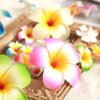 10 Pcs Hawaii Plumeria Flower Clips Hawaiian Flower Hair Barrettes Beach Party Hair Clips Artificial Tropical Flower Hairpins for Wedding 5cm