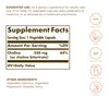 Solgar Choline 350 mg - 100 Vegetable Capsules, Pack of 2 - Non-GMO, Vegan, Kosher - 200 Total Servings