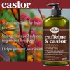 Difeel Caffeine & Castor Faster Growth Shampoo 12 oz., Made with Castor Oil for Hair Growth, Sulfate Free Shampoo