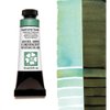 Daniel Smith Extra Fine Watercolor Paint, 15ml Tube, Duochrome Oceanic, 284640029, 0.5 Fl Oz (Pack of 1)