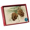 Papyrus Holiday Cards Boxed with Envelopes, Wonderful Year to Come, Pinecones (14-Count)