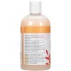Ginger Lily Farms Botanicals Moisturizing Shampoo for All Hair Types, Coco Mango, 100% Vegan & Cruelty-Free, Coconut Mango Scent, 12 Fl Oz