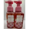 Generic Set of 2 Gingham Gorgeous Gentle & Clean Foaming Hand Soap 8.75 Ounce