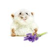 warmies Junior Hamster Heatable and Coolable Weighted Stuffed Animal Plush - Comforting Lavender Aromatherapy Animal Toys - Relaxing Weighted Stuffed Animals for Anxiety
