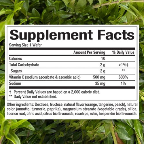 Natural Factors, Kids Chewable Vitamin C 500 mg, Supports Immune Health, Bones, Teeth and Gums, Tangy Orange, 180 Count (Pack of 1)