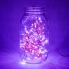 Hometown Evolution, Inc. Purple LED Fairy Lights - Plug in - 33 Foot 100 Purple LED Micro Lights on Copper Wire - Waterproof for Indoor and Outdoor Use